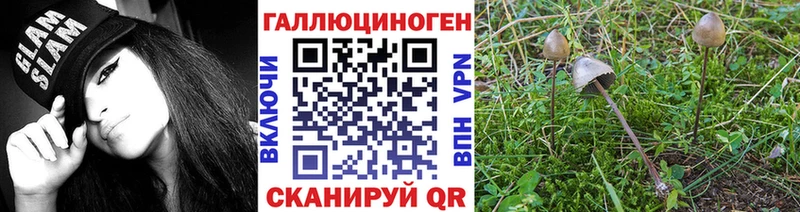 Псилоцибиновые грибы MAGIC MUSHROOMS  Димитровград 