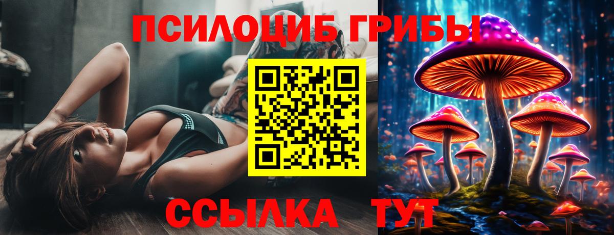Галлюциногенные грибы Psilocybe  Вход с VPN  Димитровград  Псилоцибиновые грибы Cubensis 
